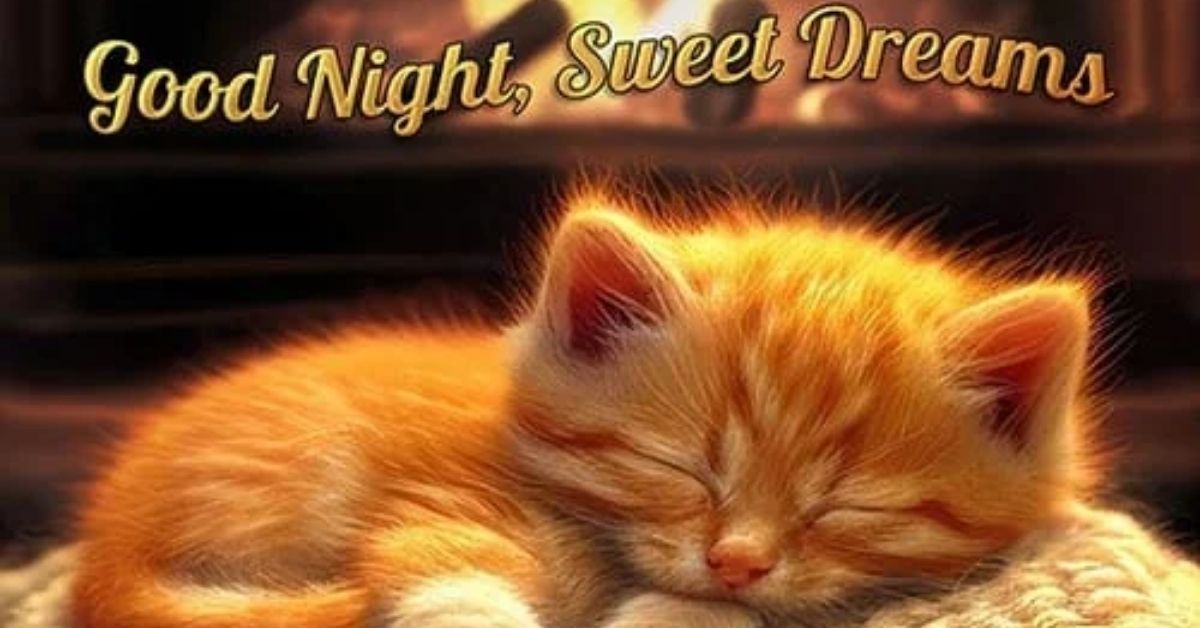 Good Evening Night Blessings