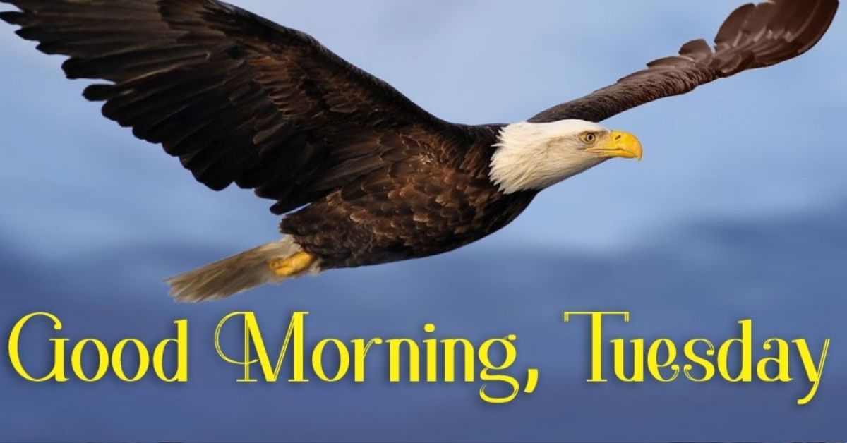 Good Morning Tuesday Blessings