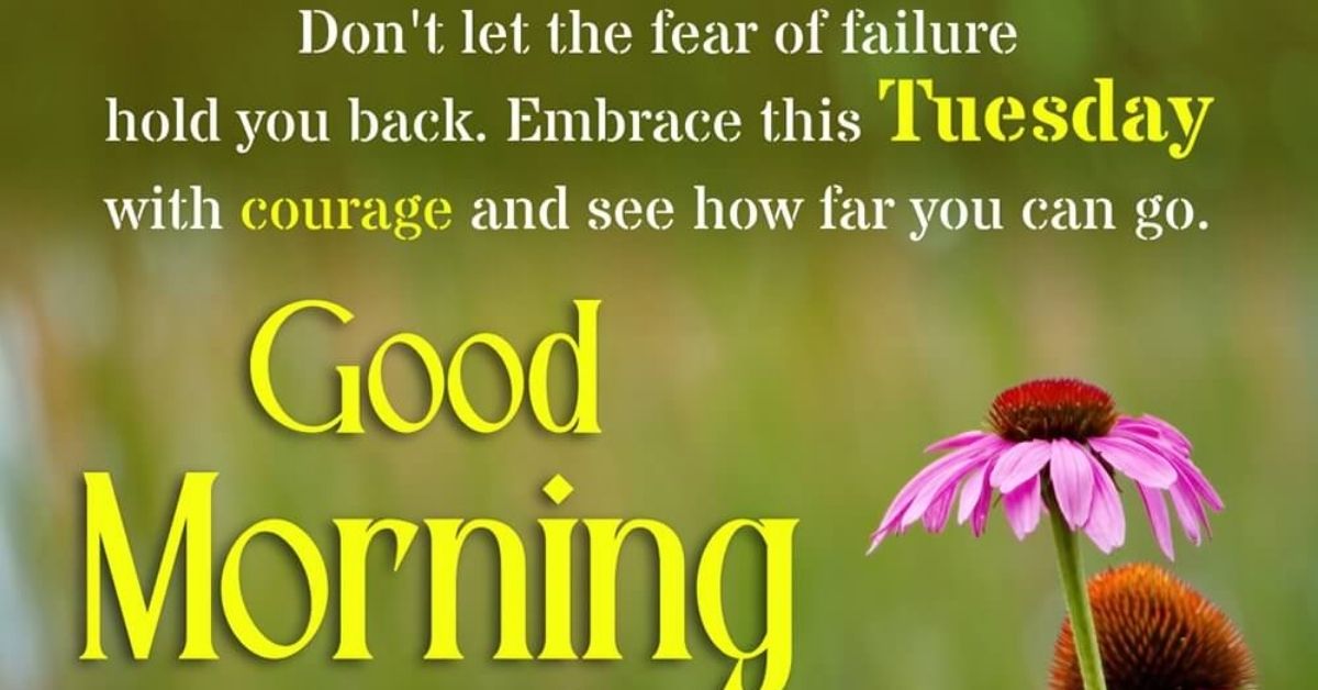 Positive Tuesday Blessings