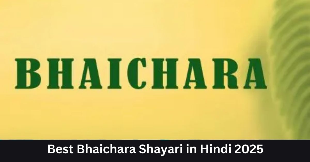 Bhaichara Shayari in Hindi