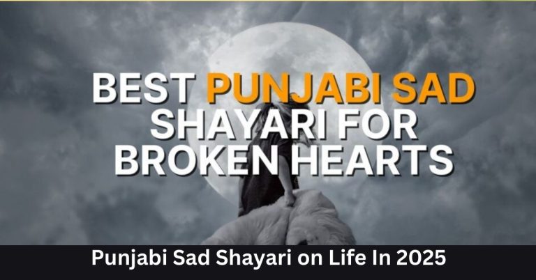 Punjabi Sad Shayari on Life