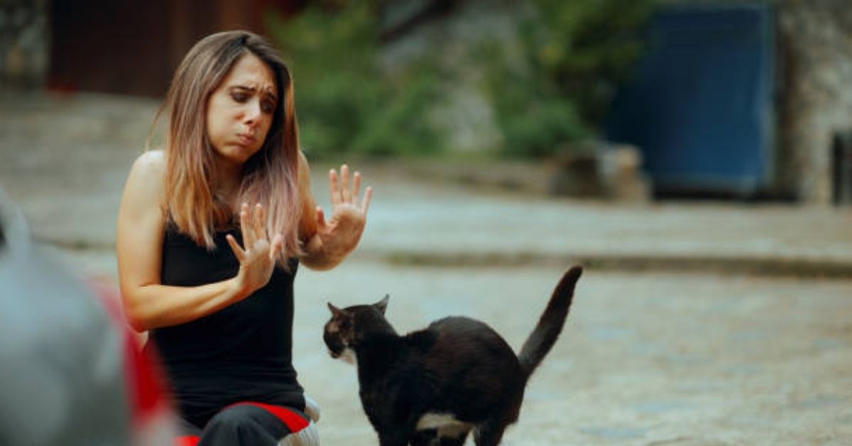 किस्मत का खेल शायरी