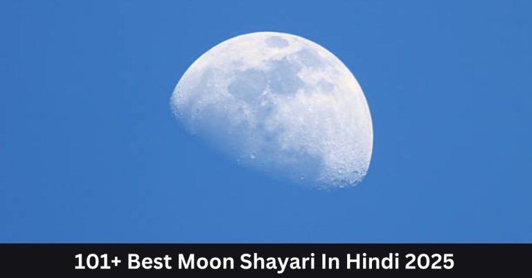 Best Moon Shayari In Hindi